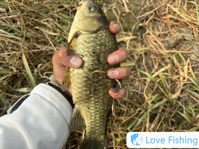 How to match the main line and the sub-line? These three "golden matching" are enough to cope with most fish situations