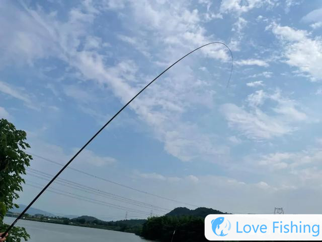 How to match the main line and the sub-line? These three "golden matching" are enough to cope with most fish situations