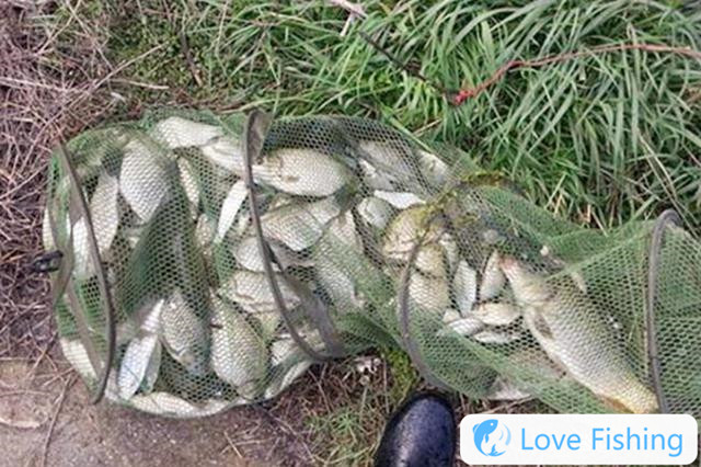In Spring, 4 Types Of Big Fish Will Lean Aside And Take Long