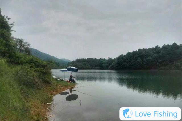 In spring wild fishing, 4 kinds of big fish will fall aside and feed for a longer time