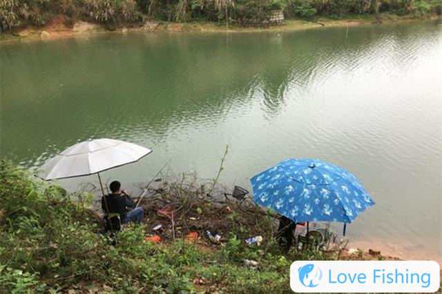 In spring wild fishing, 4 kinds of big fish will fall aside and feed for a longer time
