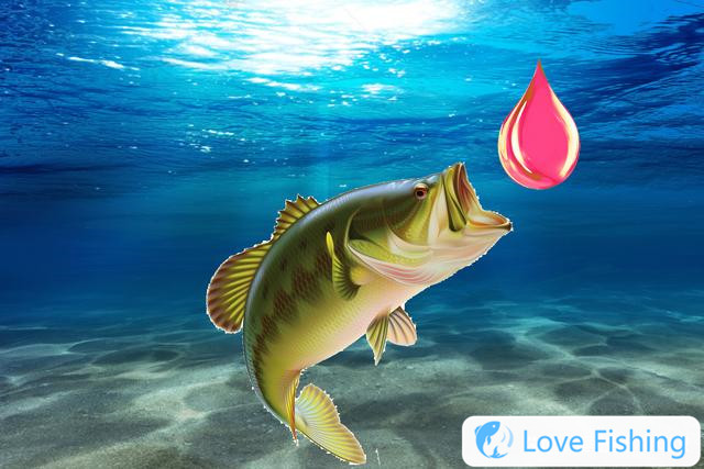 4 wrong uses of fishing medicine to avoid these fishing