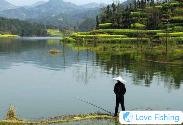 Spring Carp Fishing Skills: Why Do Veterans Love To Fish For