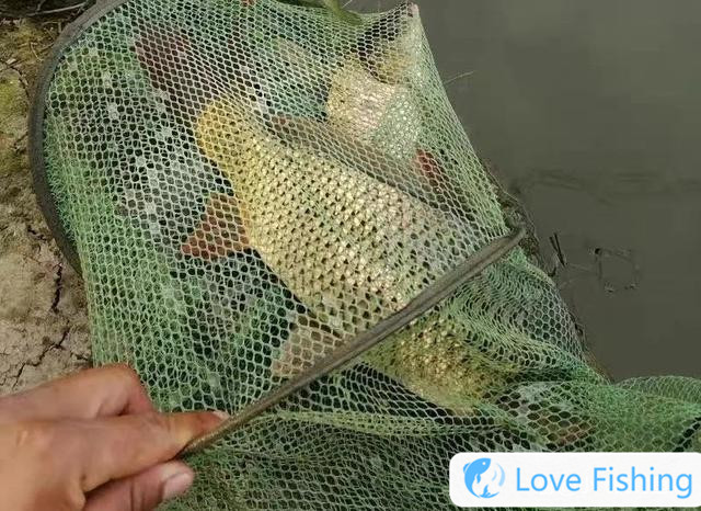 How To Do It After Catching A Big Fish, 4 Steps To Keep In M