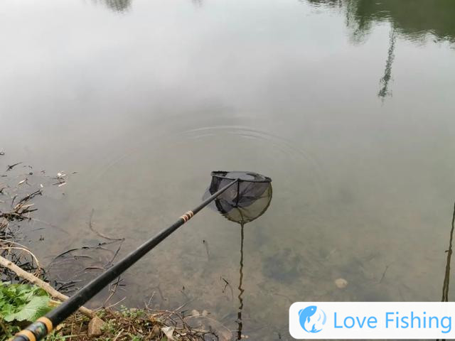 How to operate after catching a big fish, remember 4 steps