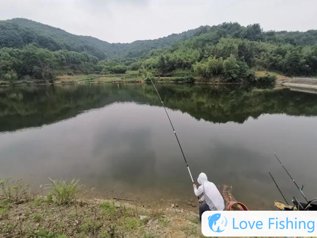 How to operate after catching a big fish, remember 4 steps