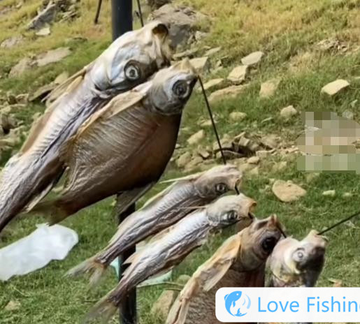_Survival of the Wilderness Bell Fishing Trap_Survival of the Wilderness One Plus One and Survival of the Wilderness Bell Fishing Trap_