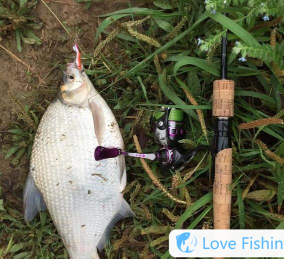 Survival of the Wilderness One Plus One and Survival of the Wilderness Bell Fishing Trap_