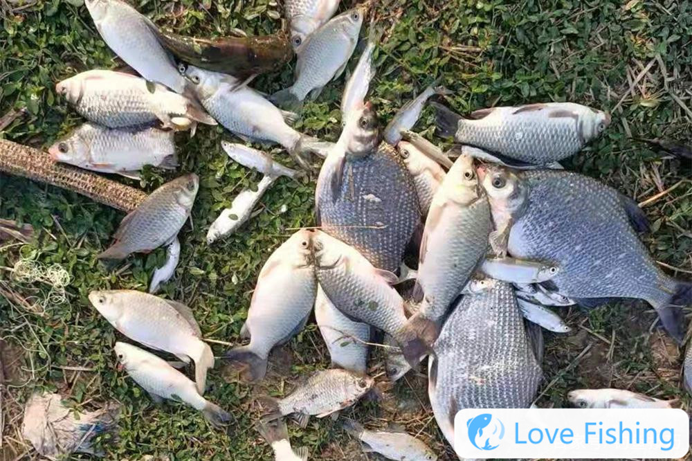 There Are Two Ultimate Fishing Methods When Fishing For Brea