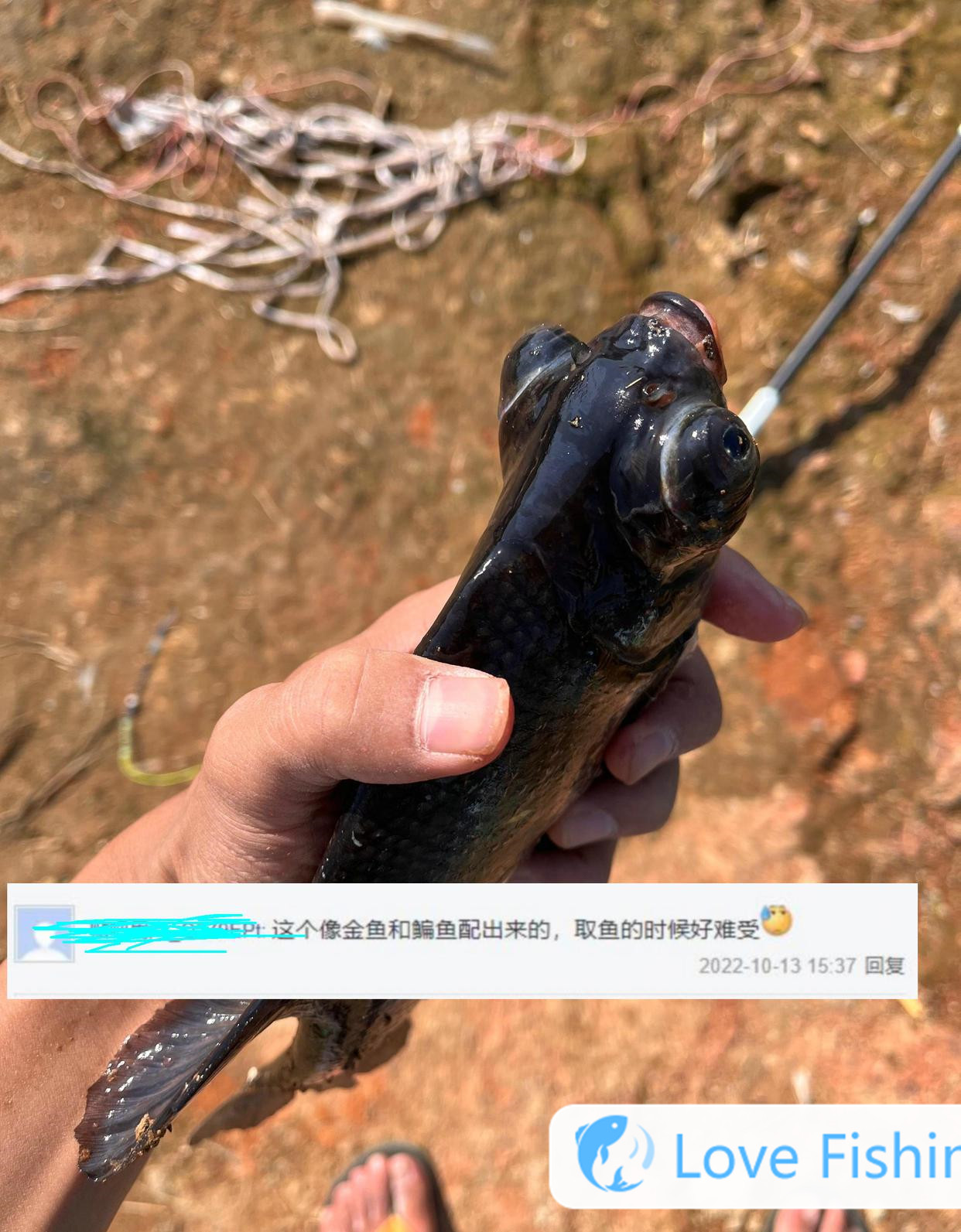 The Man Caught A Big-eyed Fish In The River, And Netizens Ad