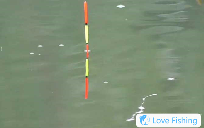 The Difference Between Taiwanese Fishing And Traditional Fis