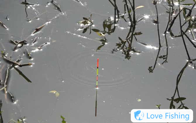 Taiwan Fishing