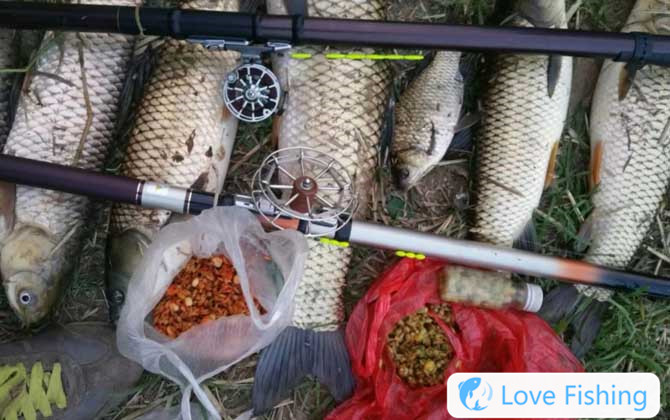 Traditional Fishing