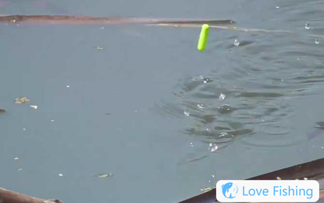 Traditional Fishing