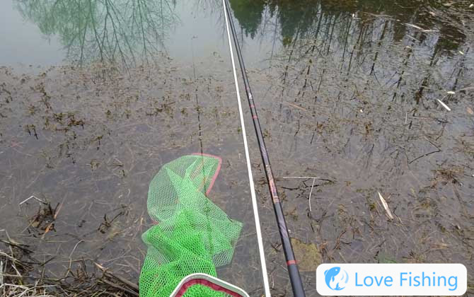 What Waters Are Suitable For Fishing In Taiwan?