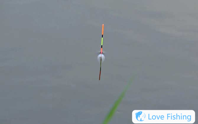 Taiwan Fishing