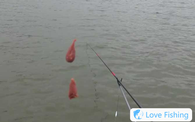Where Did Taiwan Fishing Come From?