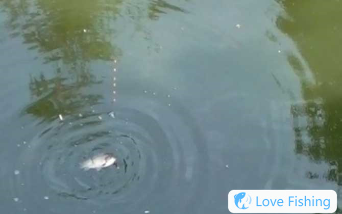 Is It Easy To Fish If The Ice Has Just Melted?
