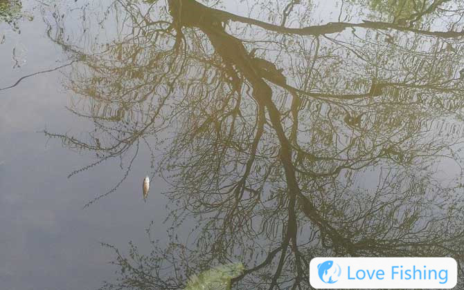 Fishing