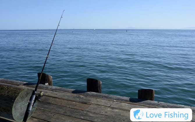 Sea Fishing
