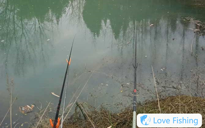 What Does Fishing And Killing Turtles Mean?