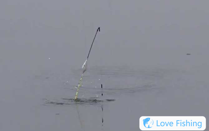 Taiwanese fishing