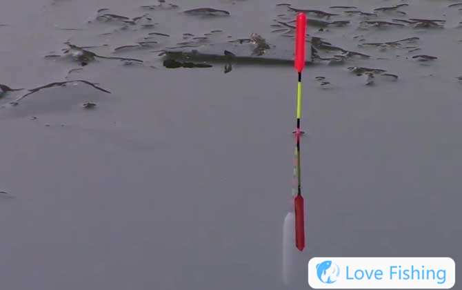 Taiwan Fishing