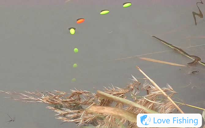 Traditional Fishing