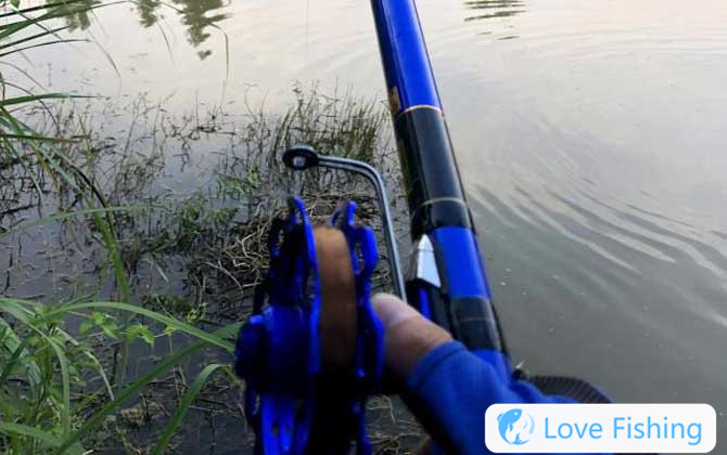 <b>What Does The Fishing Method Of Glutinous Rice Mean?</b>