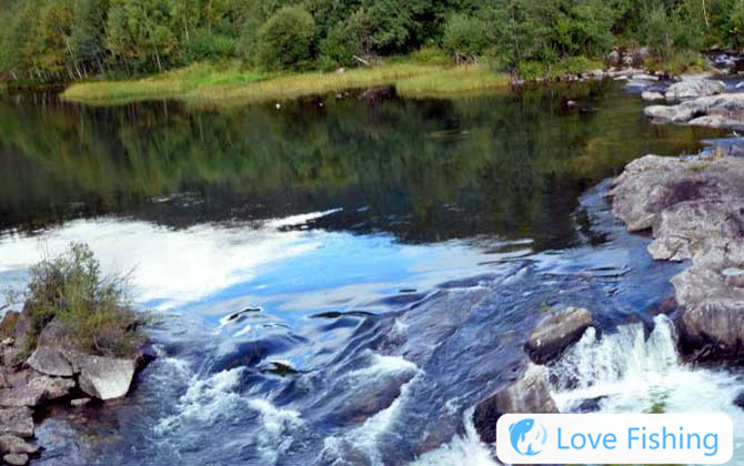 Stream fishing