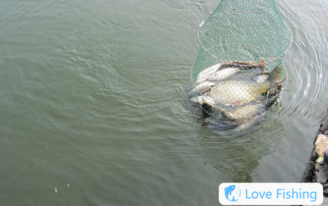 Traditional Fishing
