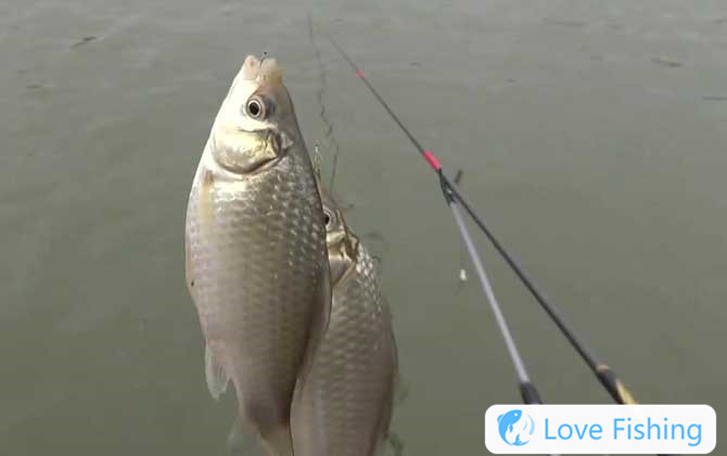 Taiwan fishing