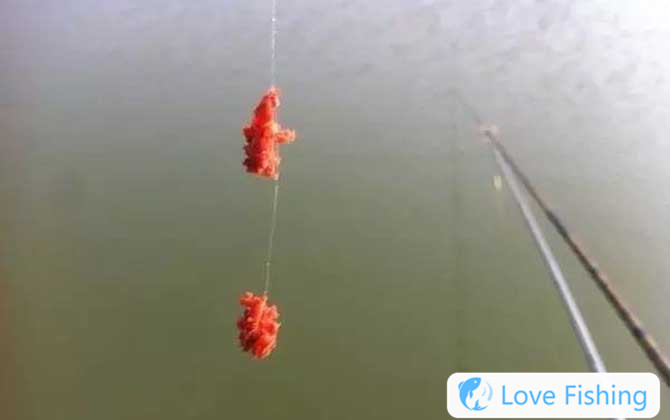 Taiwan fishing