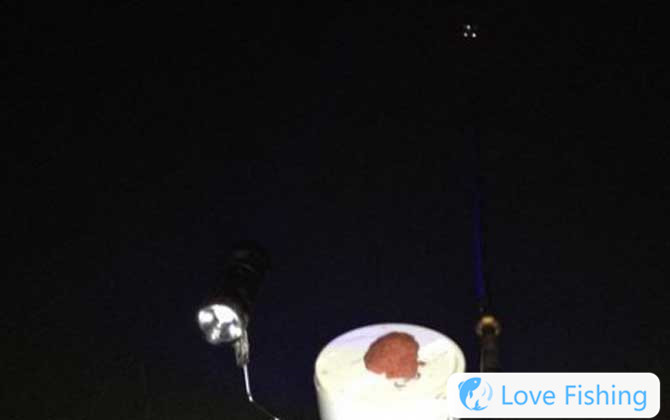 Night fishing
