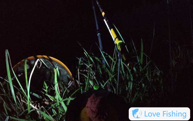Night fishing