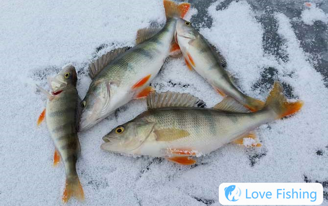 Ice fishing