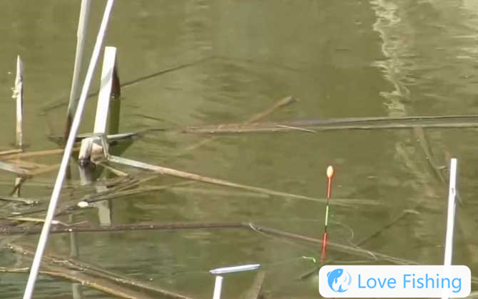 Fishing half water