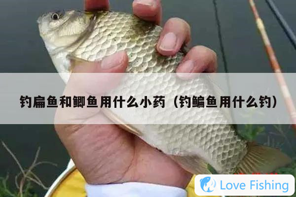 What Medicine Should Be Used To Fish For Bream And Crucian C
