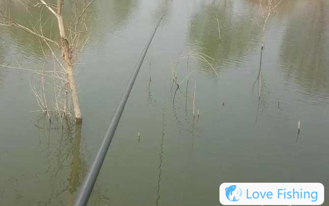 Traditional Fishing