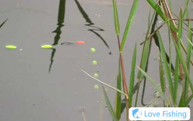 Traditional Fishing