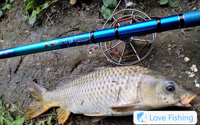 Grilled wheat rod