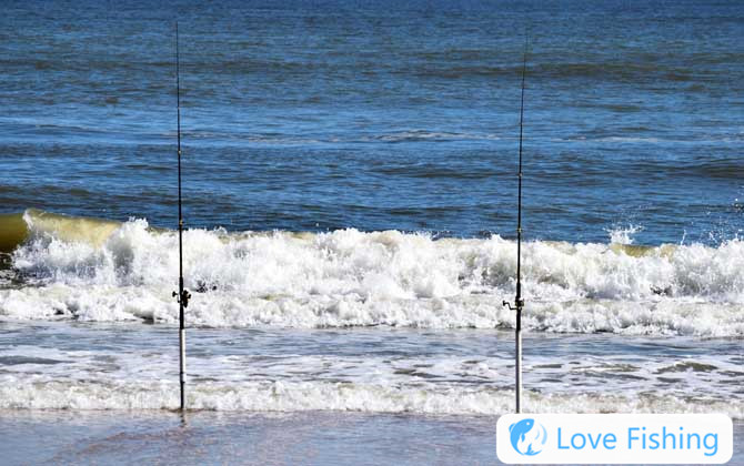 Basic Knowledge About Getting Started With Sea Fishing