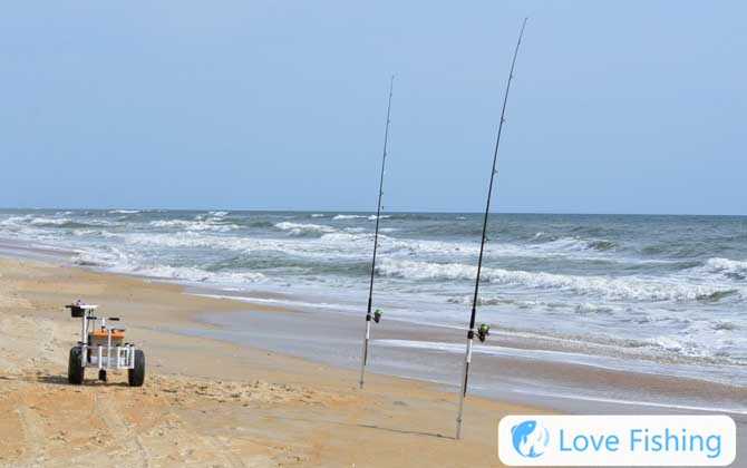 Sea Fishing