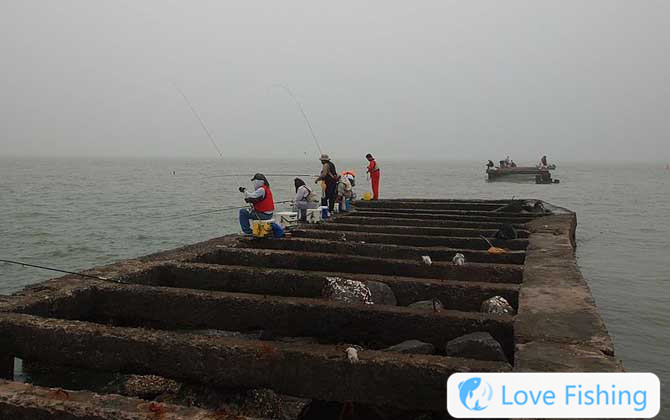 Sea Fishing