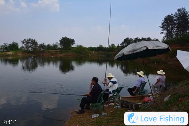 5 Tips For Fishing In Summer