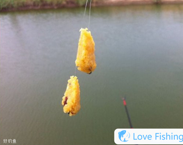 _Summer fishing stalk fish_Summer fishing stalk fishing stalk fish