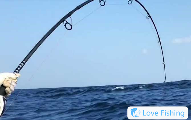 <b>How Much Does It Cost To Go Fishing At Sea?</b>