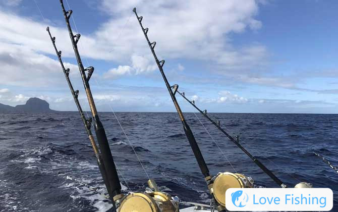 Fishing on the sea