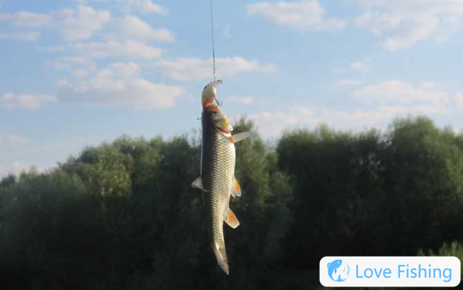 Fishing