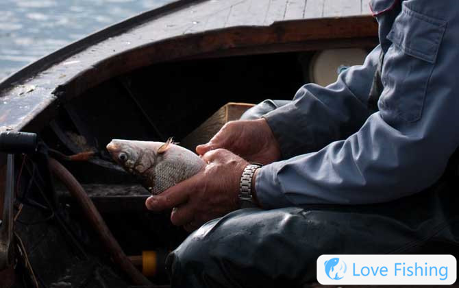 Fishing